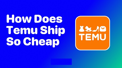 "Diagram showing Temu's free or low-cost shipping methods, including bulk shipping, efficient logistics, and partnerships with carriers."