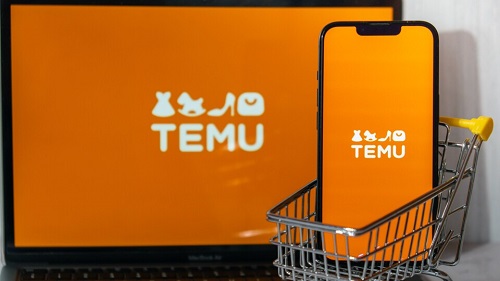 Overview of the Temu platform, showcasing its user-friendly interface and diverse product offerings."