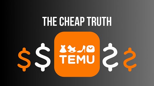  "Infographic detailing various reasons for low prices on Temu, including bulk purchasing and competitive pricing strategies."