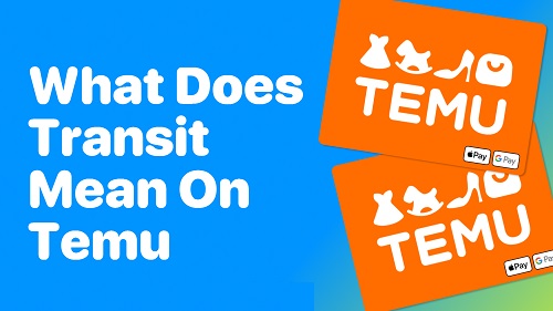 'In Transit' status on Temu order - meaning and implications for delivery.