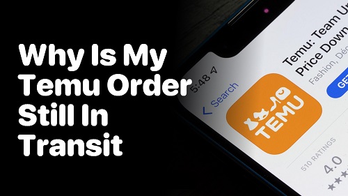 Temu order in transit - Understanding delays in shipping times.