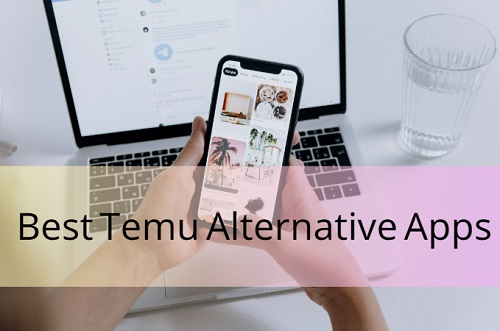 Criteria for Choosing Temu Alternatives