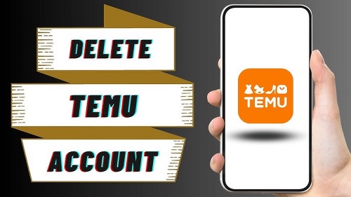 How to Delete a Temu Account (with Screenshots)