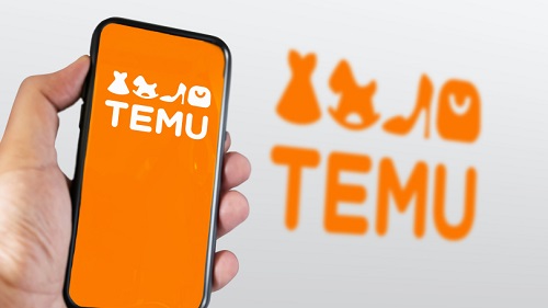 How to Become a Temu Reviewer and Get Paid