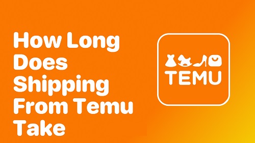 Shipping and Delivery of Temu