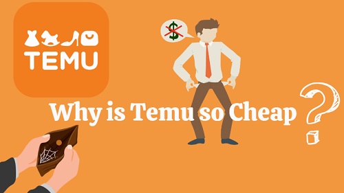 Temu's Pricing Model -Temu Vs Aliexpress