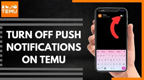 Different Types of Notifications from Temu- How to Disable Temu Notifications