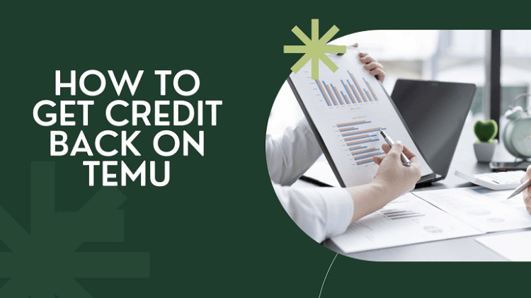 How to Get Credit Back on Temu