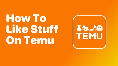 Tips for Making the Most of Hearting on Temu