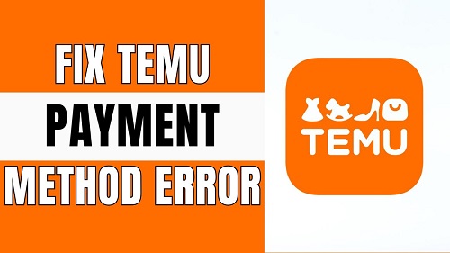 Troubleshooting Common Payment Issues- How to Use Two Payment Methods on Temu